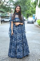 Meenakshi Chaudhary Gallery